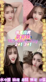 桃園定點茶-氣質妹/167/48/20/E