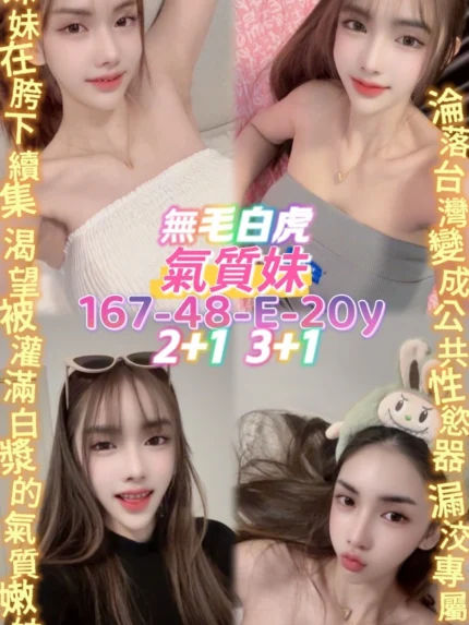 桃園定點茶-氣質妹/167/48/20/E