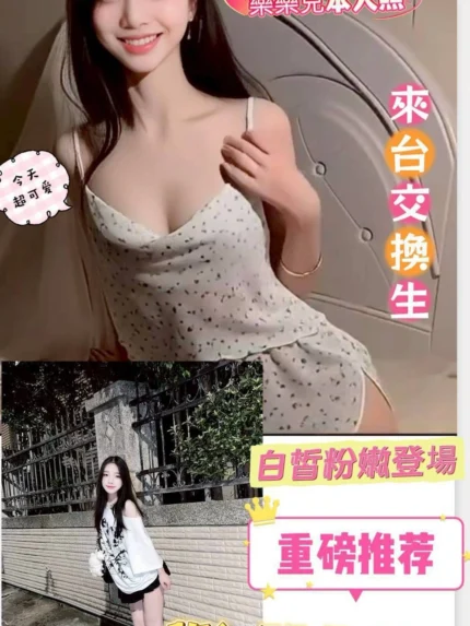 台南定點茶-樂樂兒/156/44/20/D