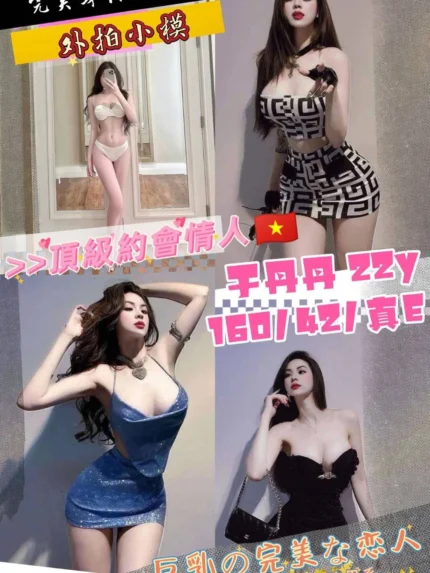 桃園定點茶-于丹丹/160/42/22/E