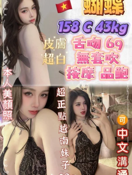 新北定點茶-蝴蝶/158/43/23/C