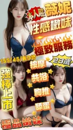 新竹定點茶-薇妮/155/45/23/D