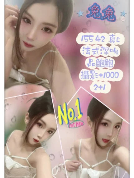 台北定點茶-兔兔/155/42/?/C