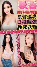 新竹定點茶-秋香/163/48/24/E