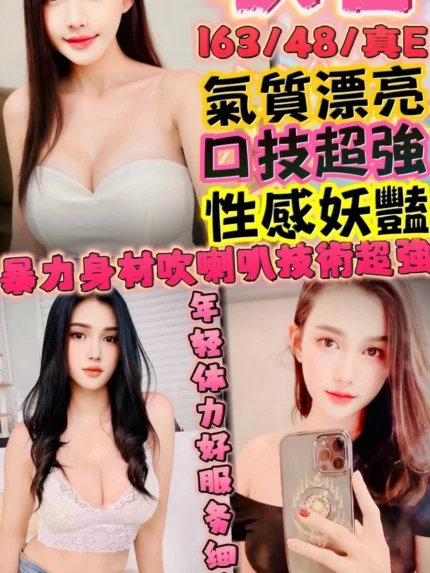 新竹定點茶-秋香/163/48/24/E