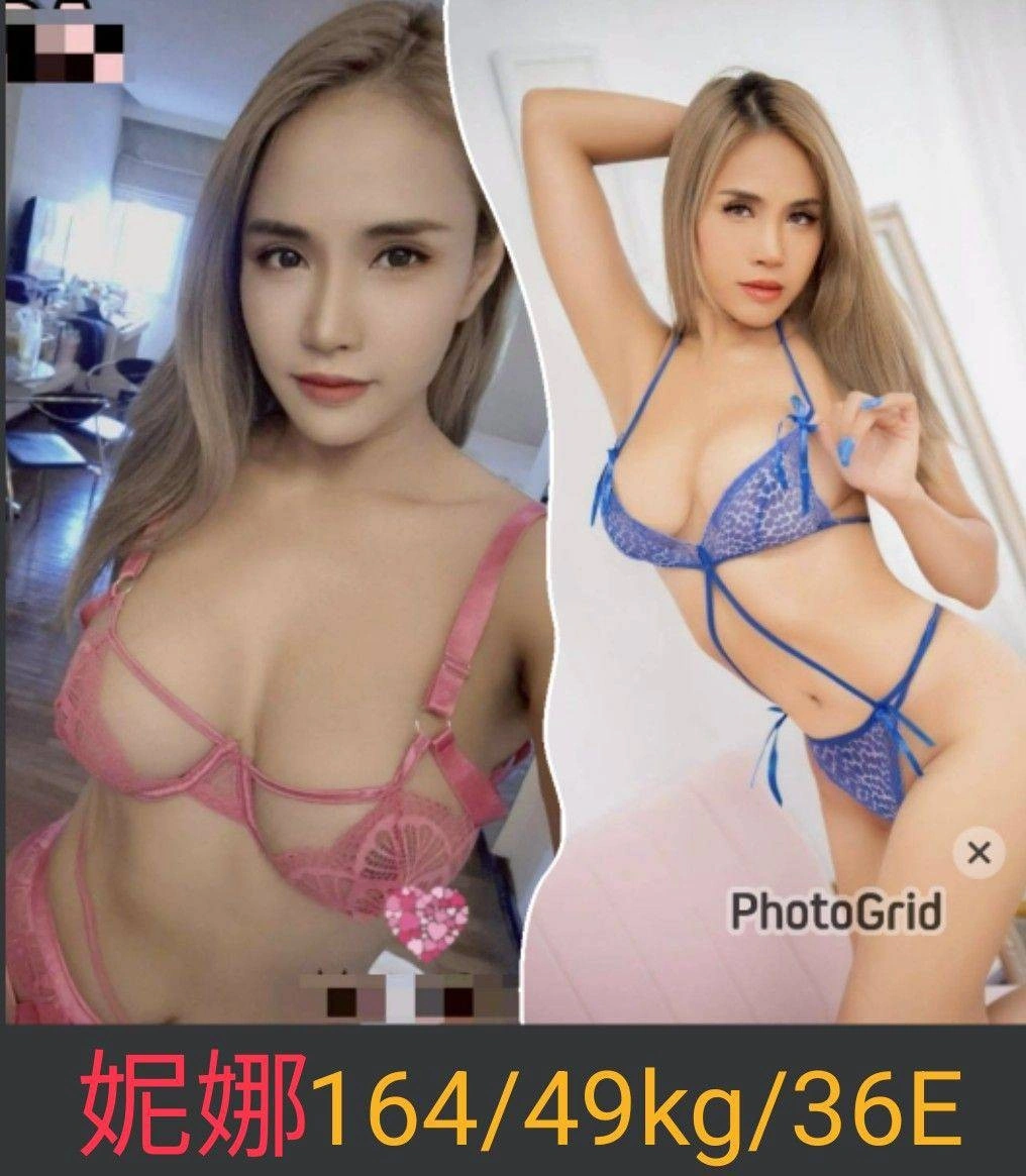 南投定點茶-妮娜/164/49/26/E 南投定點茶-妮娜/164/49/26/E