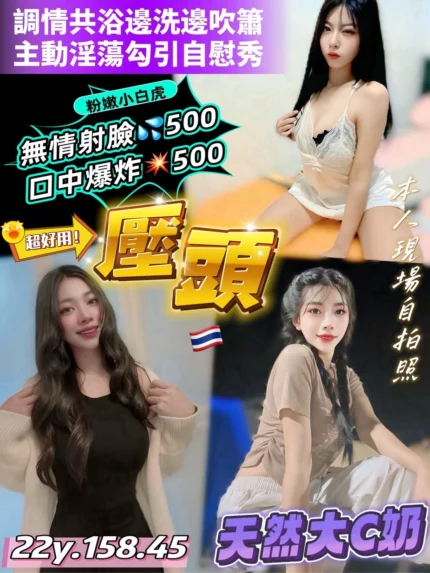 桃園定點茶-壓頭/158/45/22/C