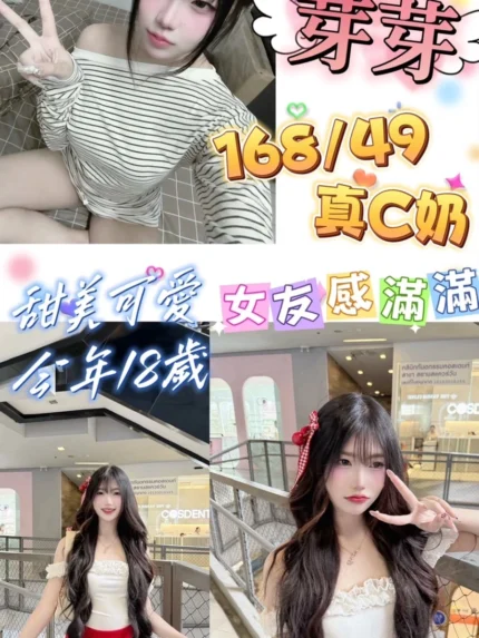 台北定點茶-芽芽/168/49/18/C