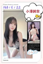 台北外送茶-小澤純奈/163/?/22/E