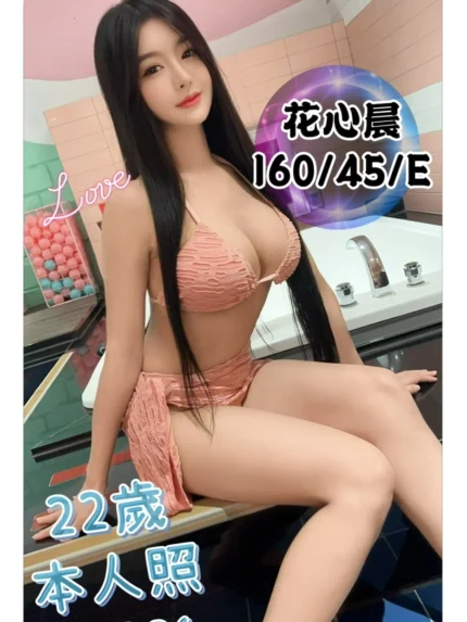 台中定點茶-花心晨/160/45/22/E