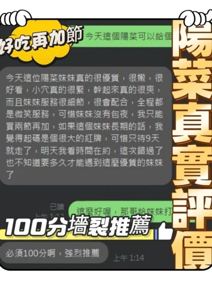 南投定點茶-陽菜/155/47/20/E