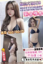 桃園定點茶-真芯/160/40/?/D