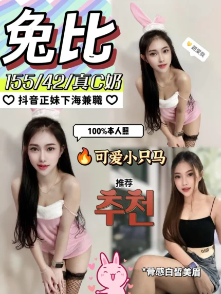 南投定點茶-兔比/155/42/?/C