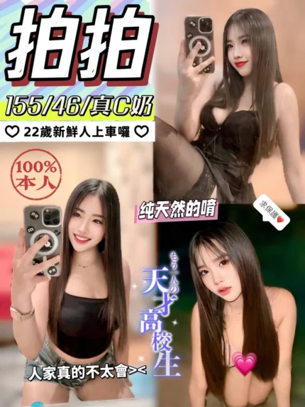 南投定點茶-拍拍/155/46/?/C