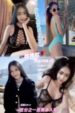 桃園定點茶-玫瑰紅/166/48/25/D