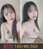 南投定點茶-凱欣/160/48/26/D