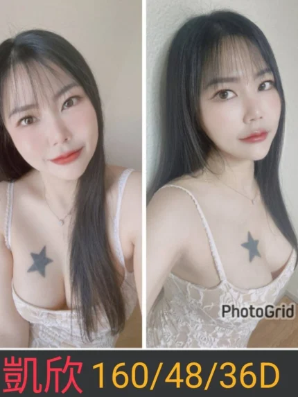 南投定點茶-凱欣/160/48/26/D