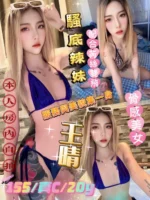 台北定點茶-王晴/155/?/20/C