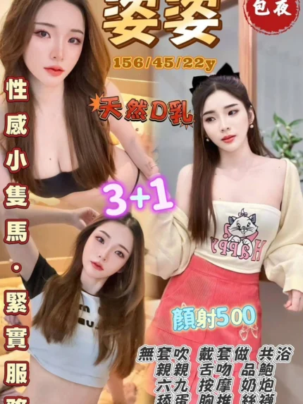 桃園定點茶-姿姿/156/45/22/D