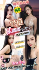 桃園定點茶-舒庭/161/51/20/C