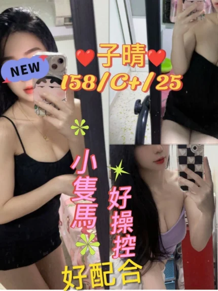 台北定點茶-子晴/158/47/25/C