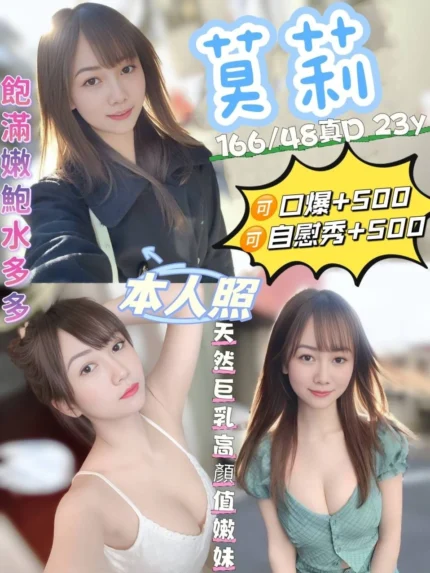 宜蘭定點茶-莫莉/166/48/23/D