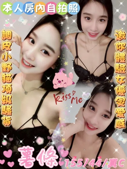 雲林定點茶-薯條/155/44/?/C