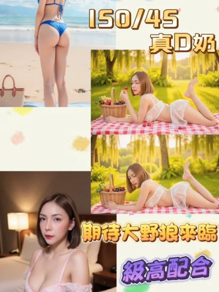 台北定點茶-小紅帽/150/45/22/D