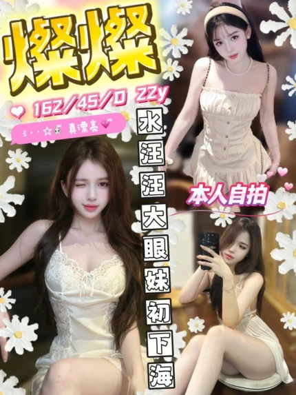 台中定點茶-燦燦/162/45/22/D