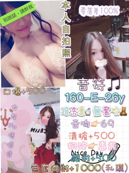 台北定點茶-音符/160/45/26/E