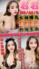 新竹定點茶-君君/156/46/?/G