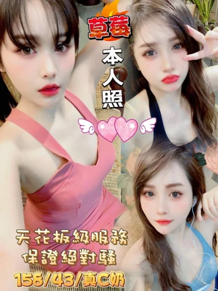 嘉義定點茶-草莓/158/43/22/C