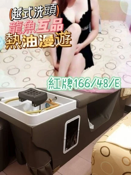 台中定點茶-紅牌/166/48/25/E