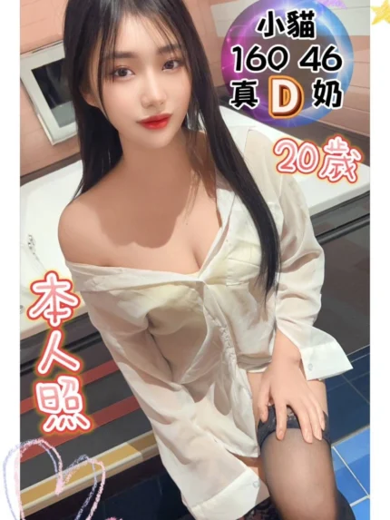 台中定點茶-小貓/160/46/20/D