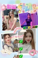 屏東定點茶,外送茶-彩虹/156/45/23/D