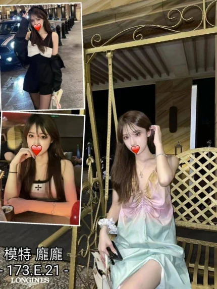 台中外送茶-龐龐/173/?/21/E