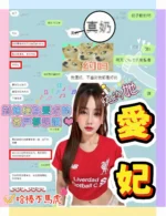 新竹定點茶-愛妃/160/50/23/D