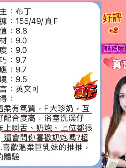 台中定點茶-布丁/155/49/?/F