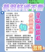 新竹定點茶-荷羽/160/43/22/E