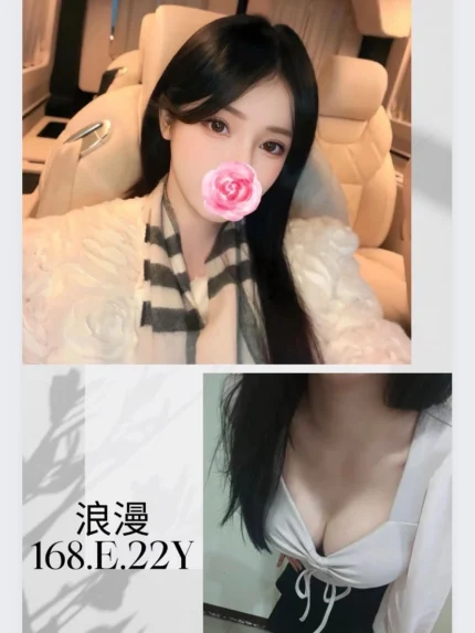 台北外送茶-浪漫/168/?/22/E