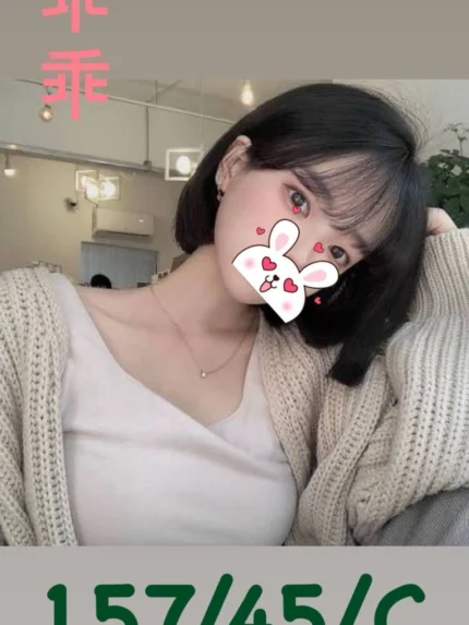 台南外送茶-乖乖/157/45/23/C