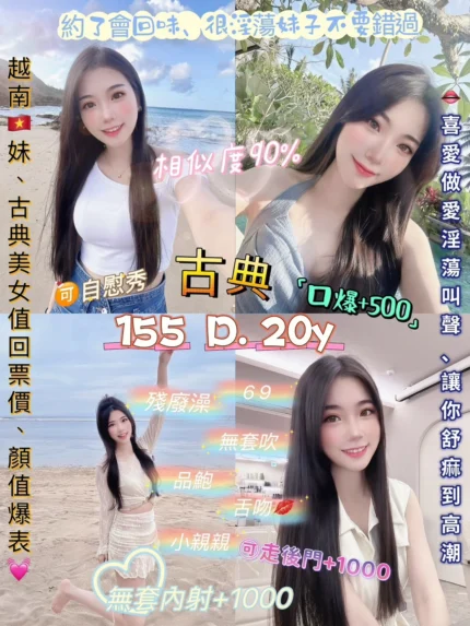 台北定點茶-古典/155/45/20/D