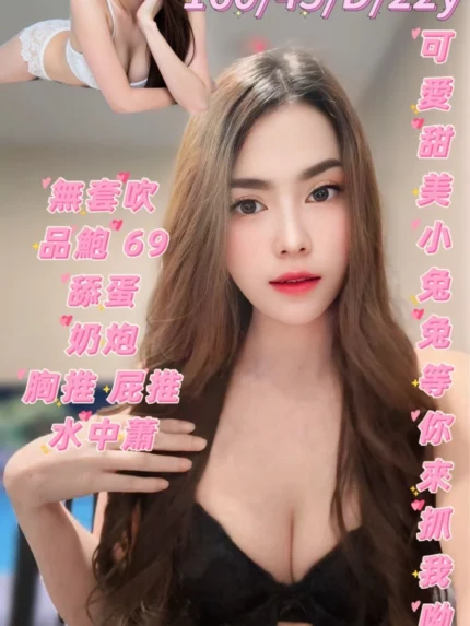 台南定點茶-兔兔/160/45/22/D