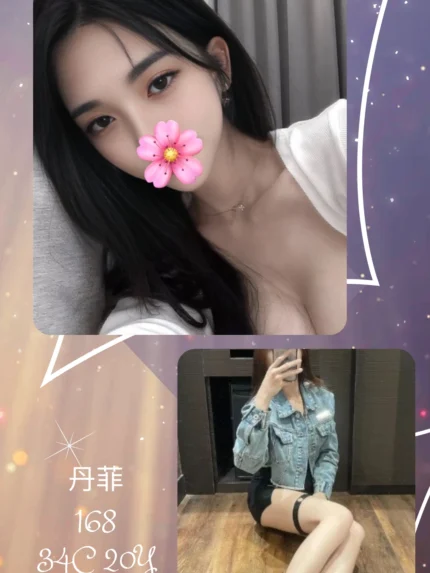 台北外送茶-丹菲/168/?/20/C