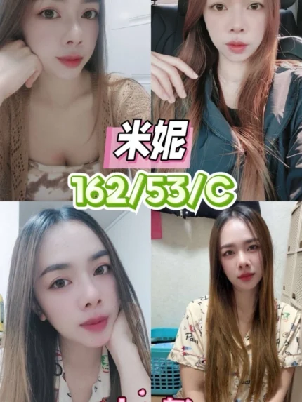 台中定點茶-米妮/162/53/22/C