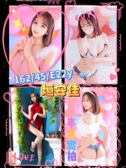 台南定點茶-垣安佳/162/45/22/E