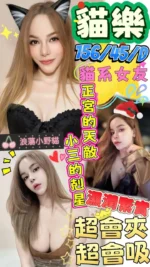 澎湖定點茶-貓樂/156/45/?/D