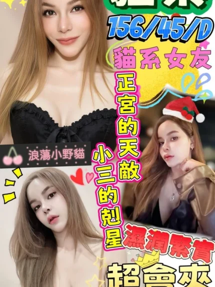 澎湖定點茶-貓樂/156/45/?/D