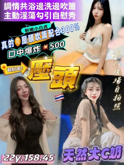 桃園定點茶-壓頭/158/45/22/C