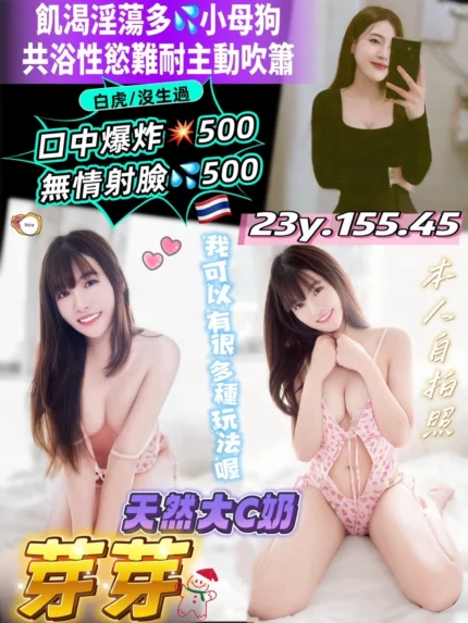 桃園定點茶-芽芽/155/45/23/C